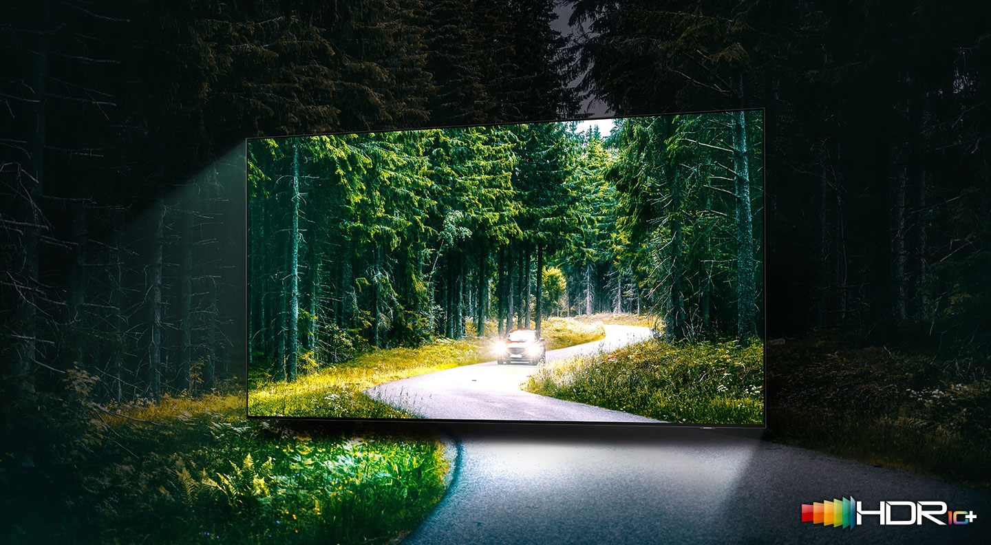 A car is running with lights on through the dense green forest on the TV screen. QLED TV shows accurate representation of bright and dark colors by catching small details.