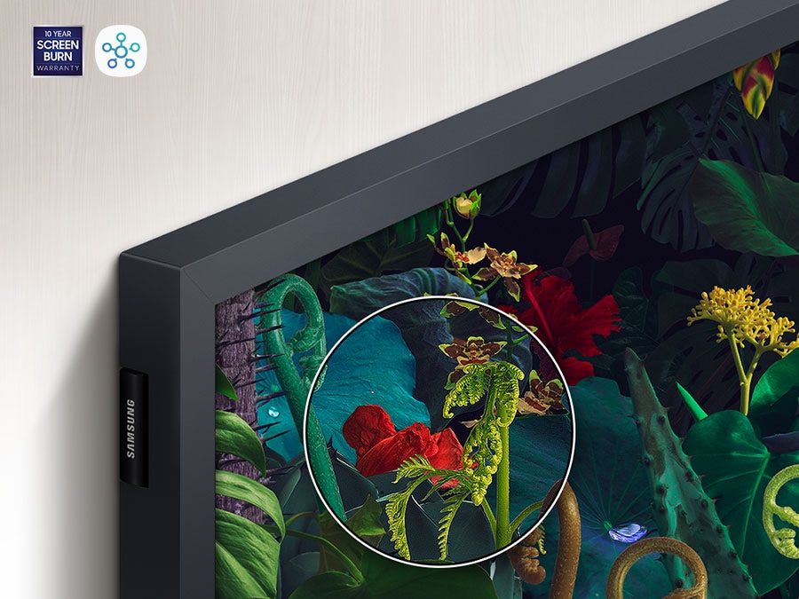 A part of the screen on The Frame is emphasized to show how realistic the colours are via 100% Colour Volume technology.