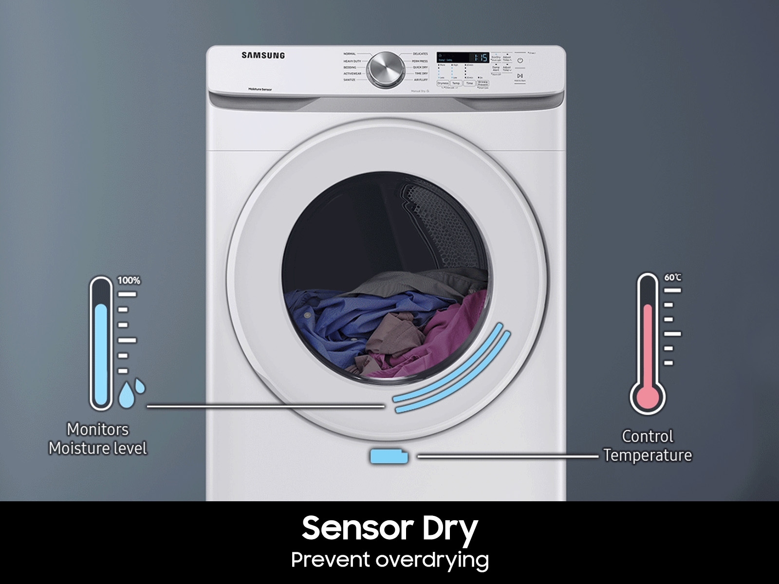 Front Load Gas Dryer