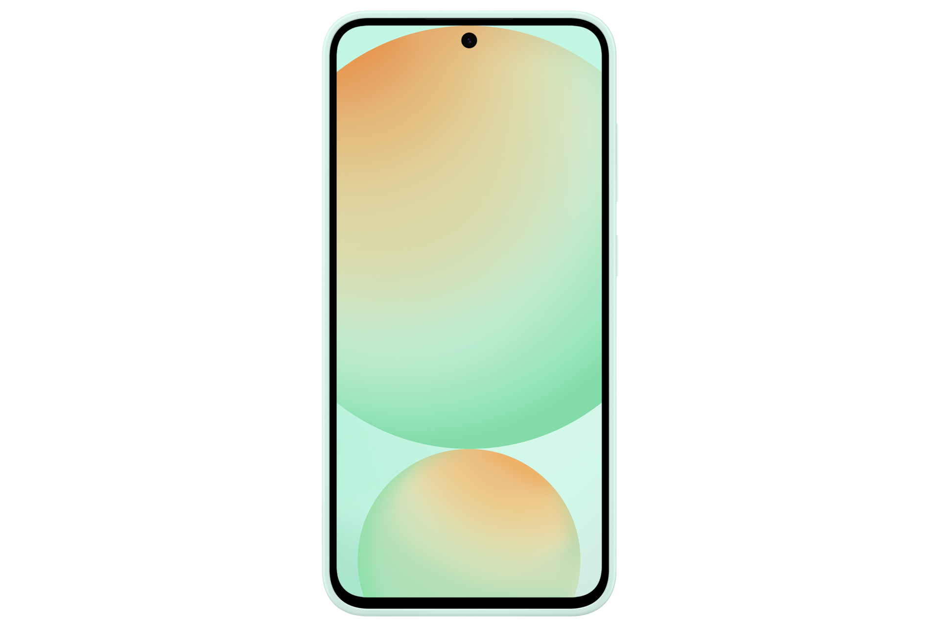 Galaxy S24 FE Silicone Case Back Mint 