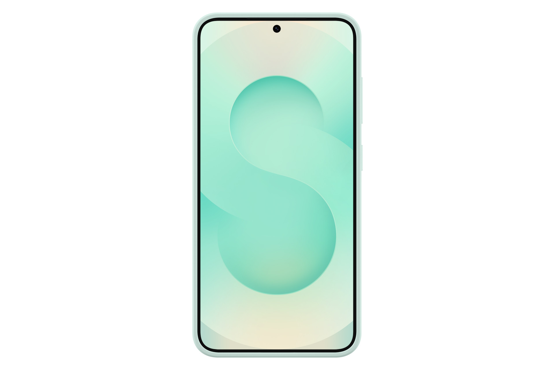 Galaxy S25 Silicone Case Back Mint 