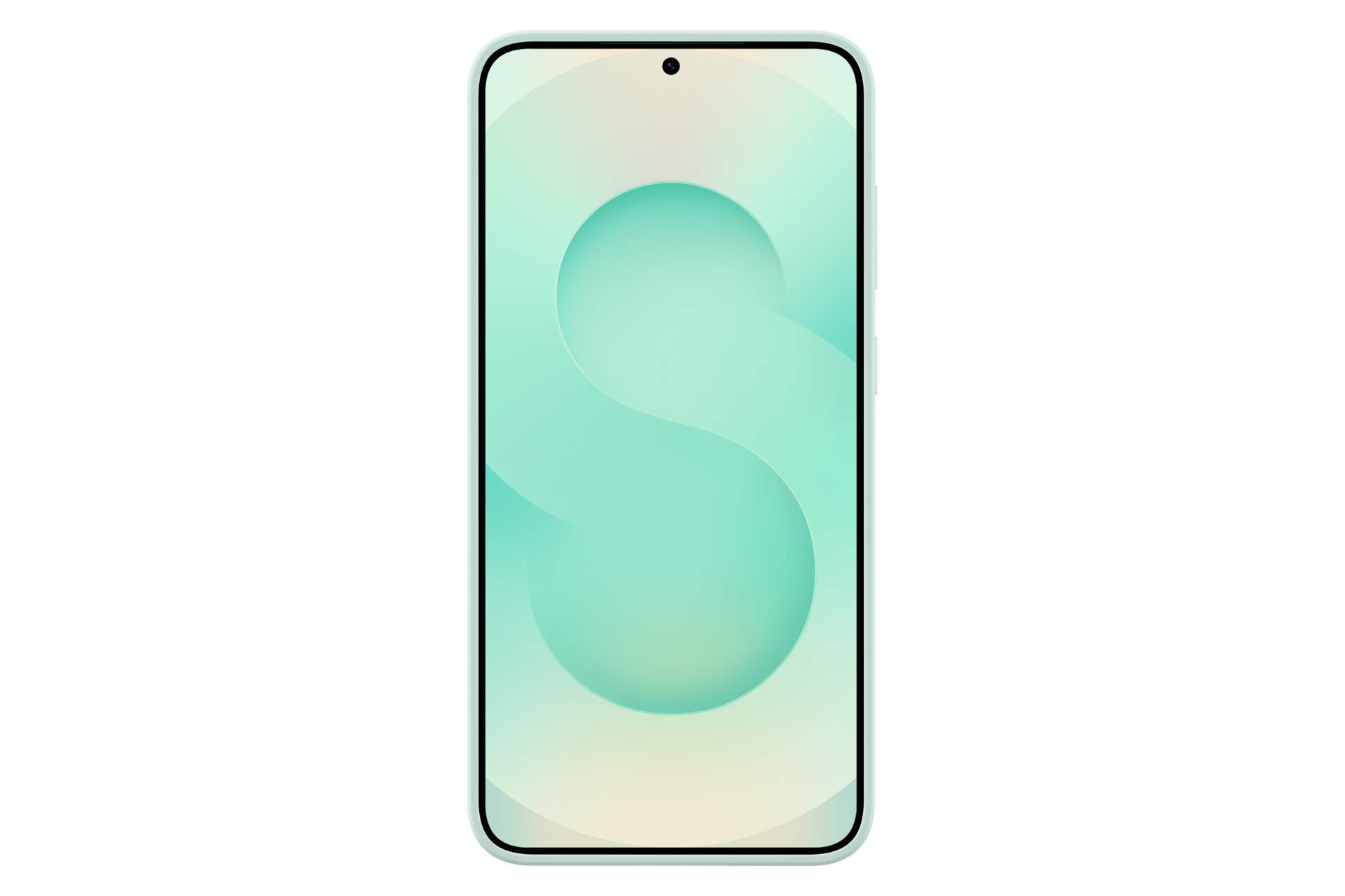 Galaxy S25+ Silicone Case Back Mint 
