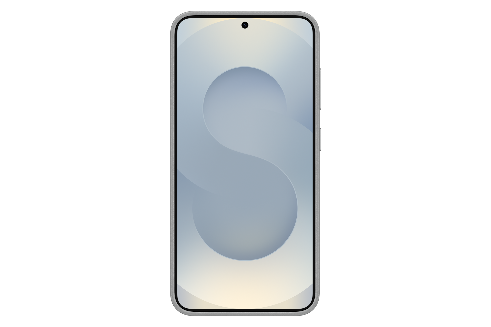 Galaxy S25 Kindsuit Case, Gray