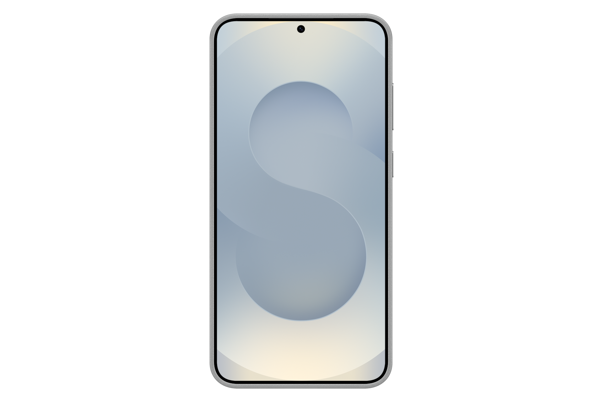 Galaxy S25+ Kindsuit Case Back Gray 