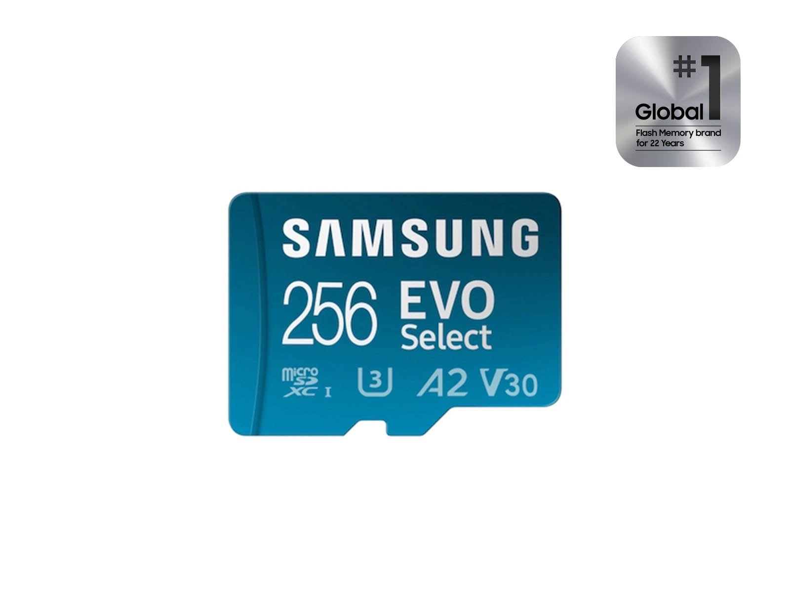 256GB T9 microSDXC Memory Card UHS-I | Samsung US