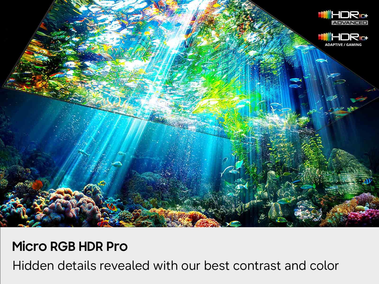 A visualization of the difference Samsung Micro RGB HDR Pro technology makes in an aquatic scene on the Micro RGB R95H.