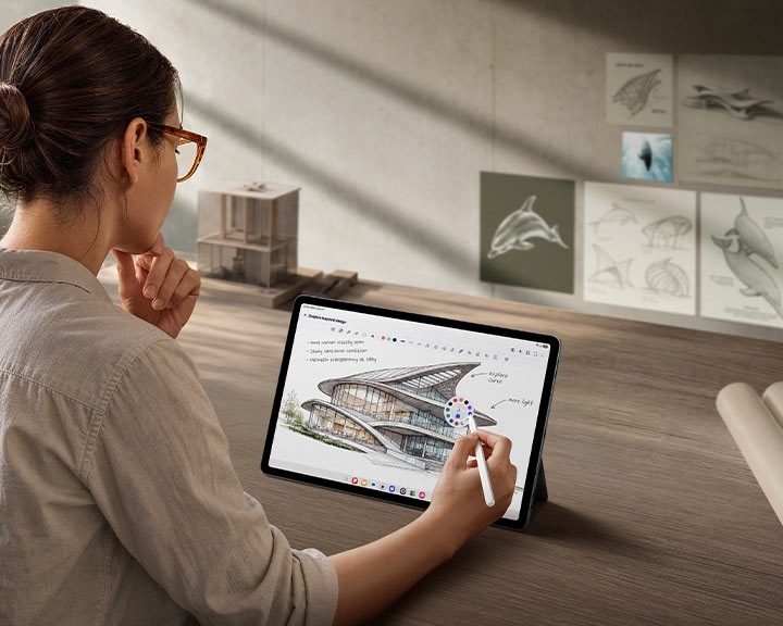 Galaxy Tab S12+ Gray