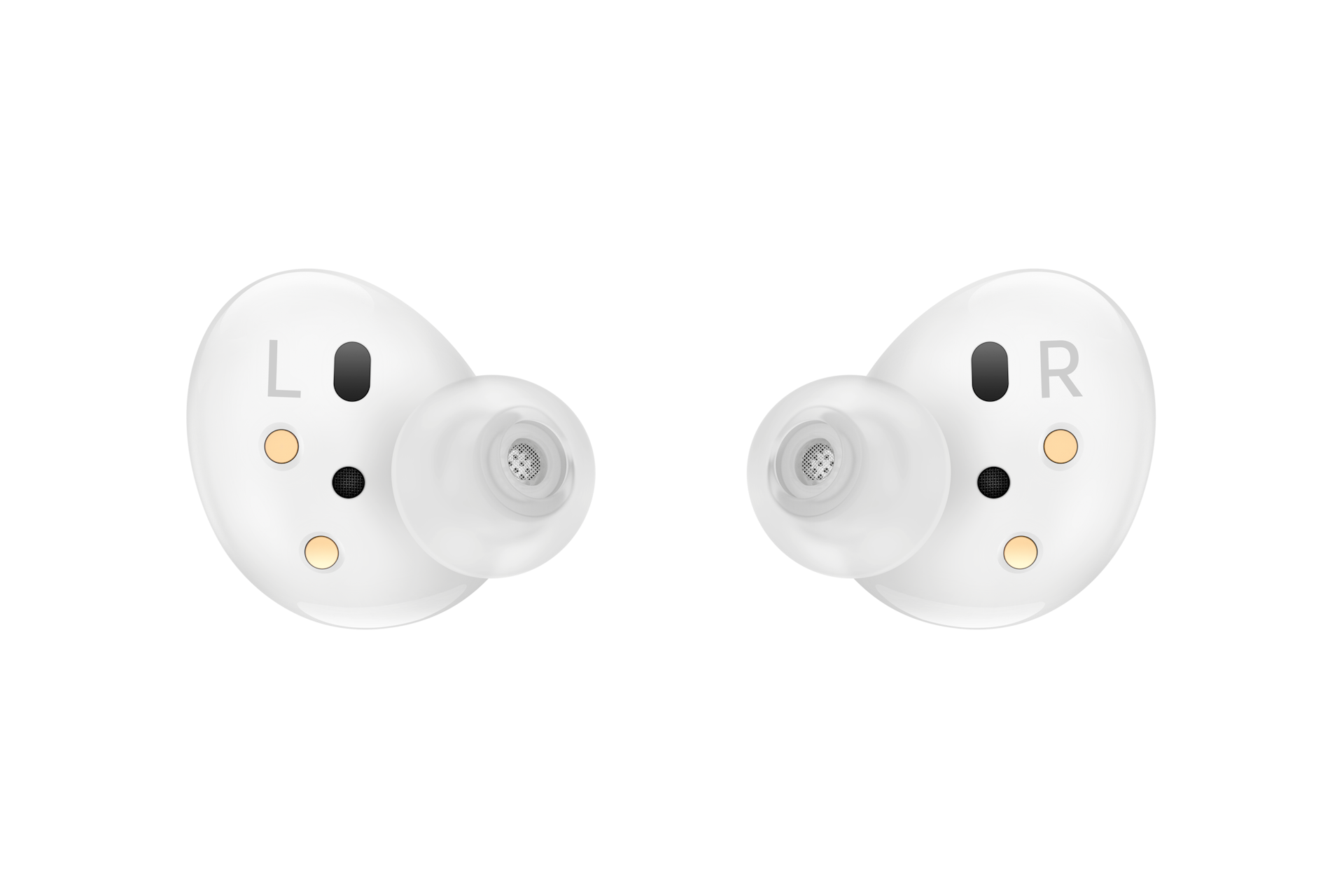 back White