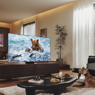 [QÉ55QÑ~700BÚXR~Ú] 