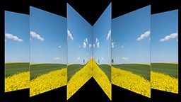 One Neo QLED screen with sunny prairie scene is spread into a fan-like pattern, showing unchanged picture quality from any angle.