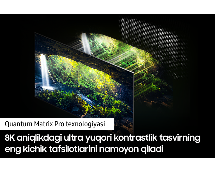 QE65QN800BUXRU 