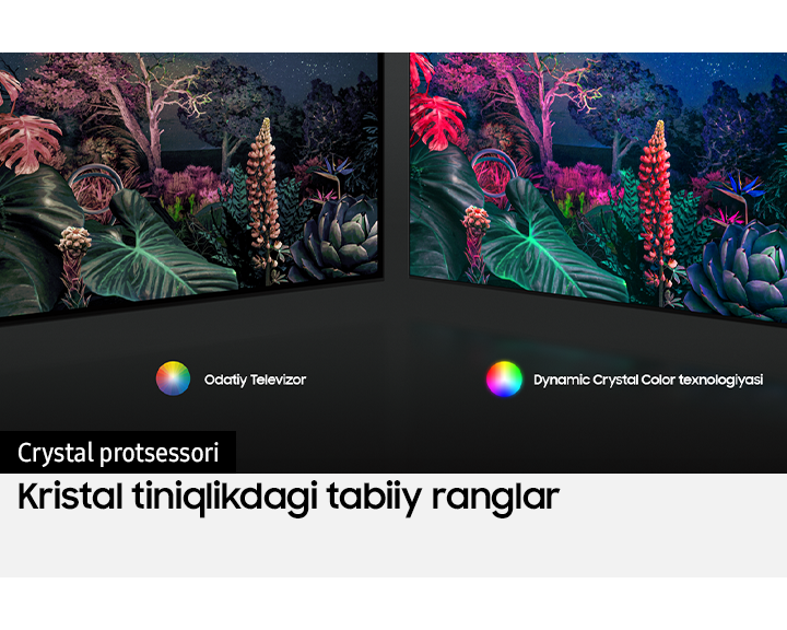 [ÚÉ65ÁÚ~9000ÚXRÚ~] 