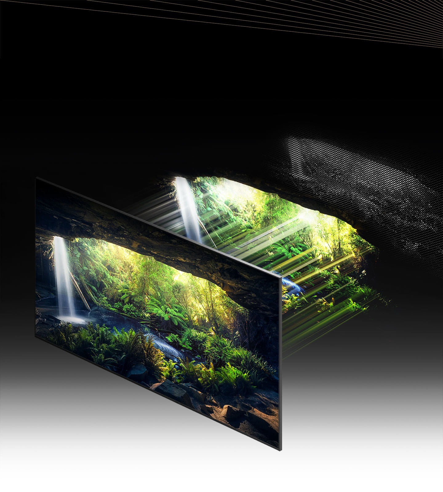 Thông qua Quantum Mini LED và microlayer, màn hình với phong cảnh rừng tuyệt đẹp nhìn từ bên trong hang động được hiển thị chi tiết, rõ ràng ở các vùng sáng và tối.