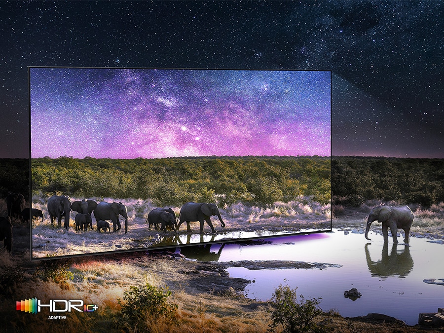 Elephants are walking around in a wide field surrounded by many stars and drinking water on the TV screen. QLED TV shows accurate representation of bright and dark colors by catching small details.