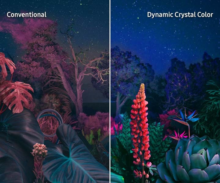 Conventional screen shows dull night scene of plants and trees. Dynamic Crystal Color makes scene glow in vivid color.