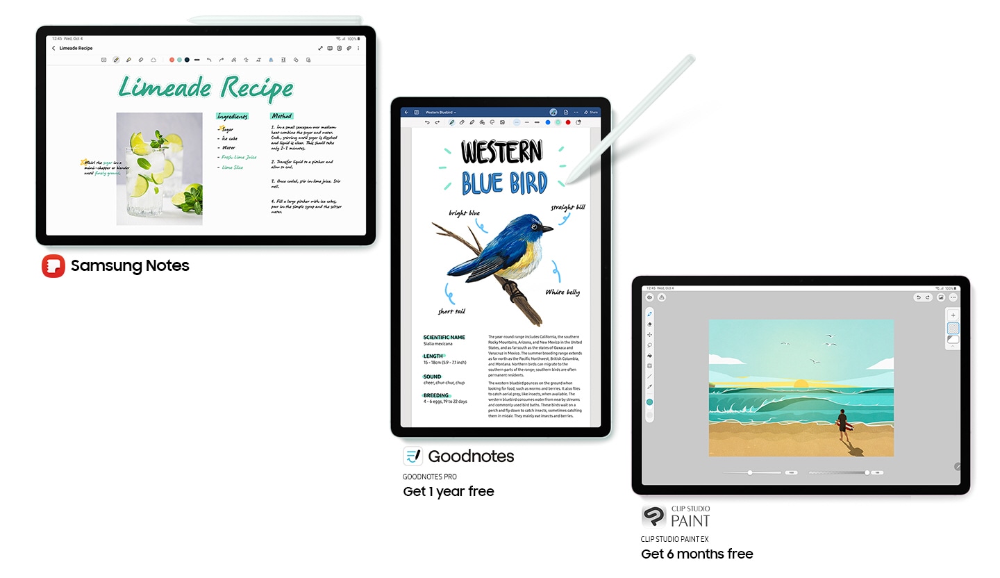Galaxy Tab S9 FE+ in Mint in Landscape mode, facing forward with S Pen attached on top and the Samsung Notes app open onscreen. Samsung Notes logo. Galaxy Tab S9 FE+ in Mint in Portrait mode, facing forward with S Pen pointed at the screen and the GOODNOTES PRO app open with text Get 1 year free. Galaxy Tab S9 FE+ in Lavender in Landscape mode, facing forward with the Clip Studio Paint app open onscreen with text CLIPSTUDIO EX Get 6 months free.