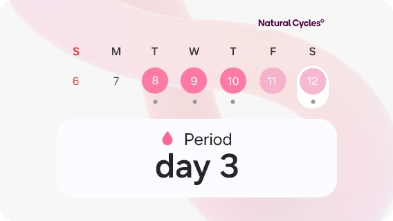 Lịch Theo dõi Chu kỳ hiển thị ngày của kỳ kinh với dòng chữ 'Ngày 3' cùng logo Natural Cycles° ở trên cùng bên phải.