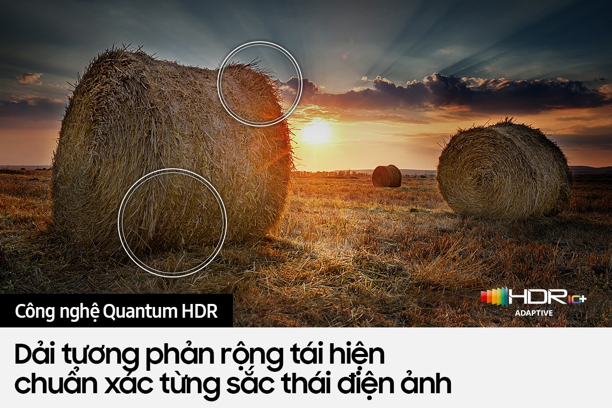 Trải nghiệm độ tương phản đỉnh cao cùng chi tiết chân thực nhờ công nghệ Quantum HDR trên QLED TV Q60B