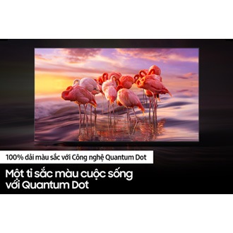 QLED TV Q60B với công nghệ hiển thị 100% dải màu cho bạn thưởng thức từng khung hình mang màu sắc tuyệt đẹp