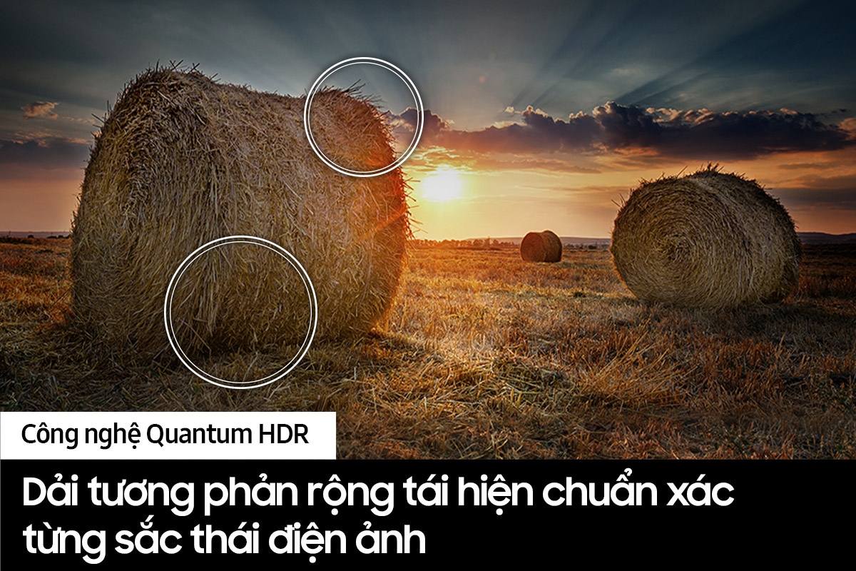 QA50QE1DAKXXV 