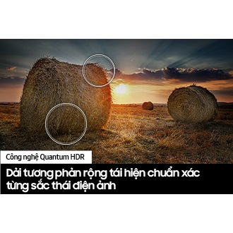 QA50QE1DAKXXV 