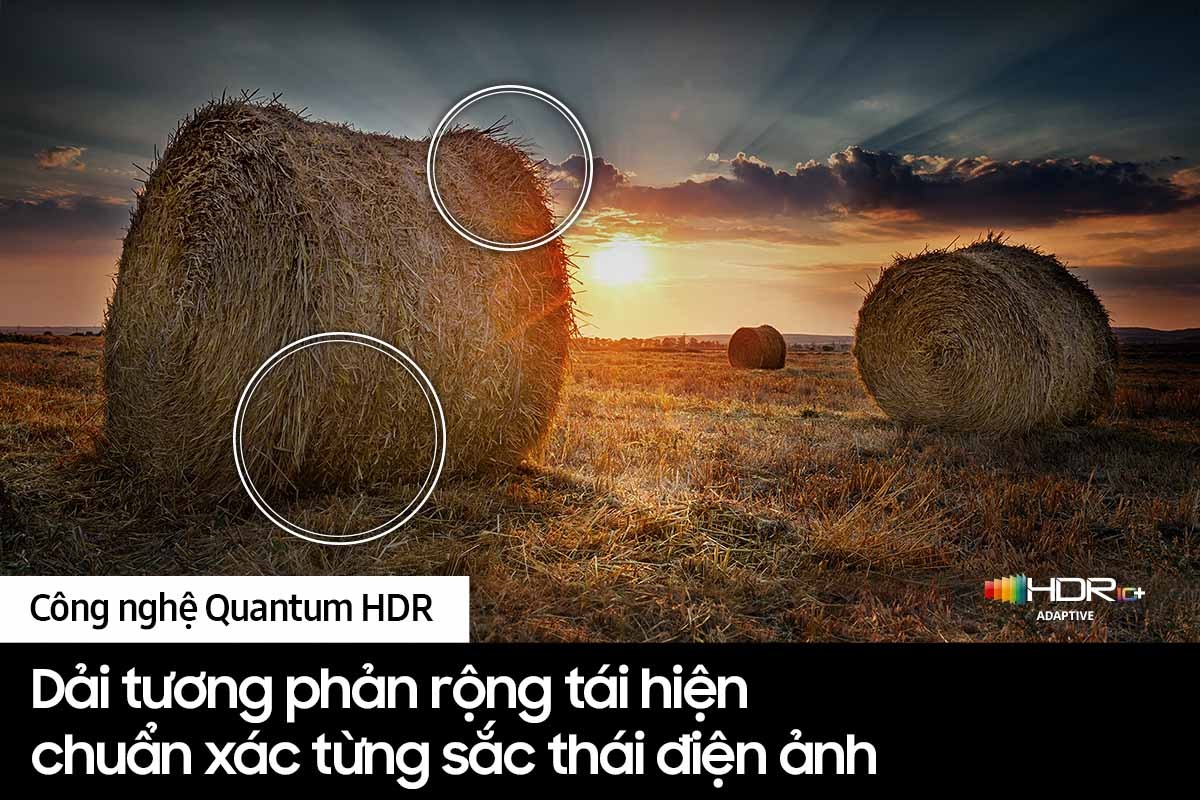 QA55Q63CAKXXV 
