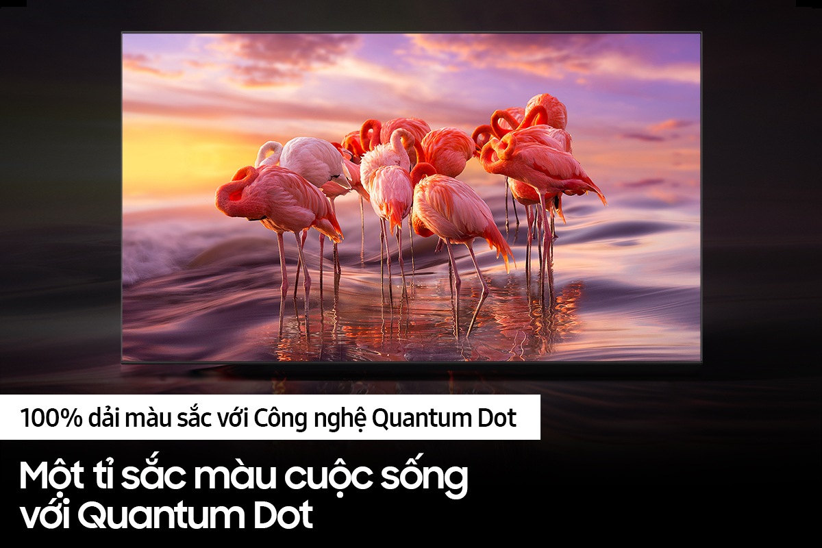 QLED TV Q60B với công nghệ hiển thị 100% dải màu cho bạn thưởng thức từng khung hình mang màu sắc tuyệt đẹp