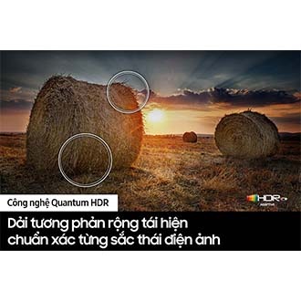 QA65Q63CAKXXV 