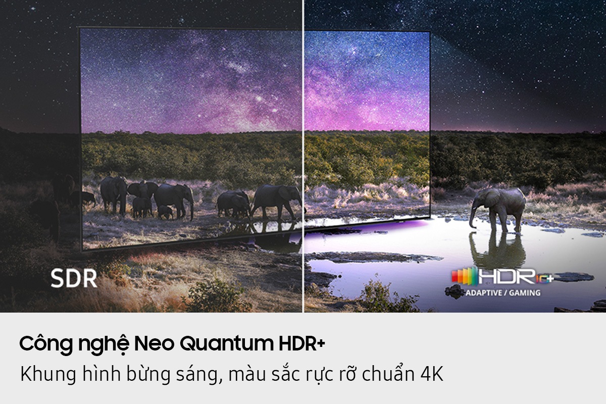 Elephants are walking around in a wide field. The scene after applying HDR 10+ ADAPTIVE/GAMING technology is much brighter and crisper than the SDR version.