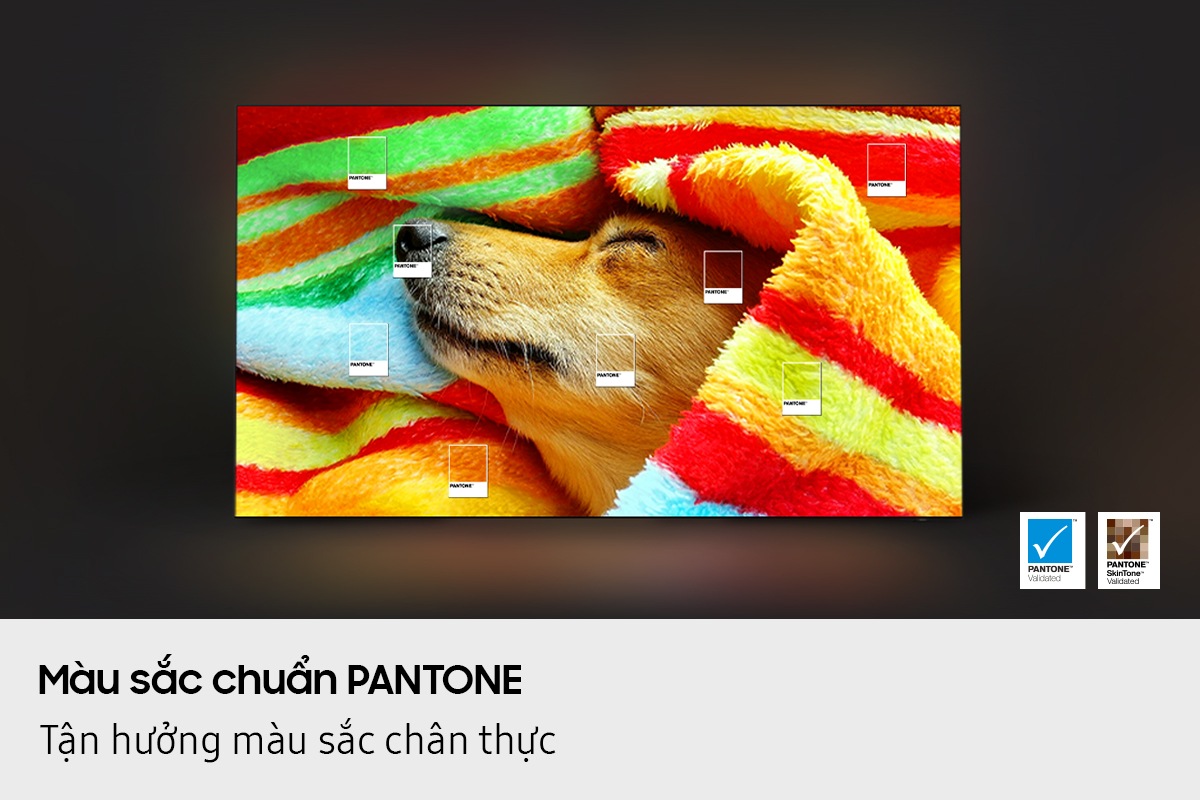 A dog wrapped around a colorful blanket is on display.