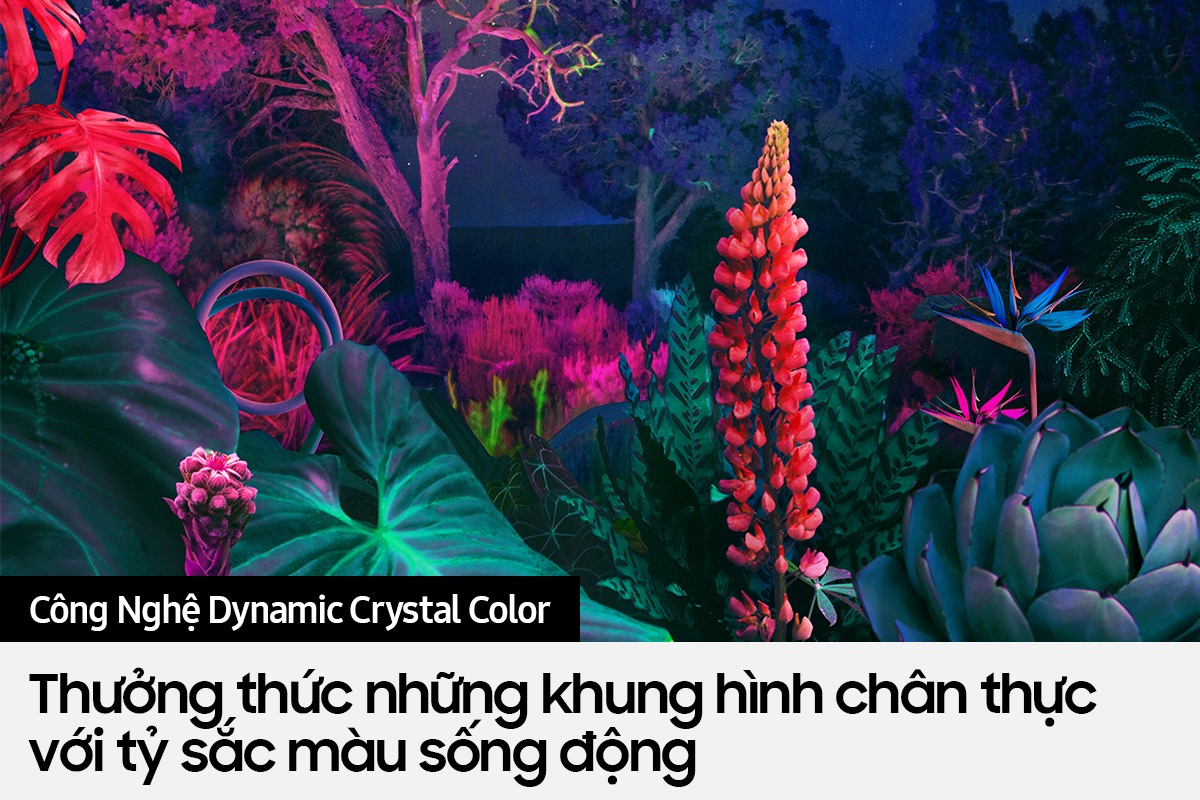 Crystal UHD TV BU8000 với công nghệ Dynamic Crystal Color tái hiện hình ảnh với một tỷ sắc màu