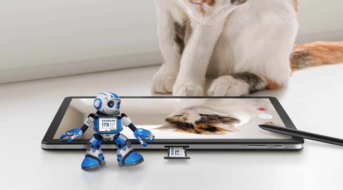 There are cats, tablets, and Samsung EVO Plus robot characters.