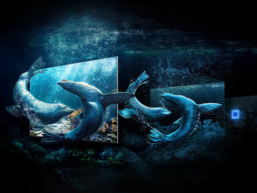 A processor in the back is projecting a picture of 2 whales, which looks 3D on the screen.