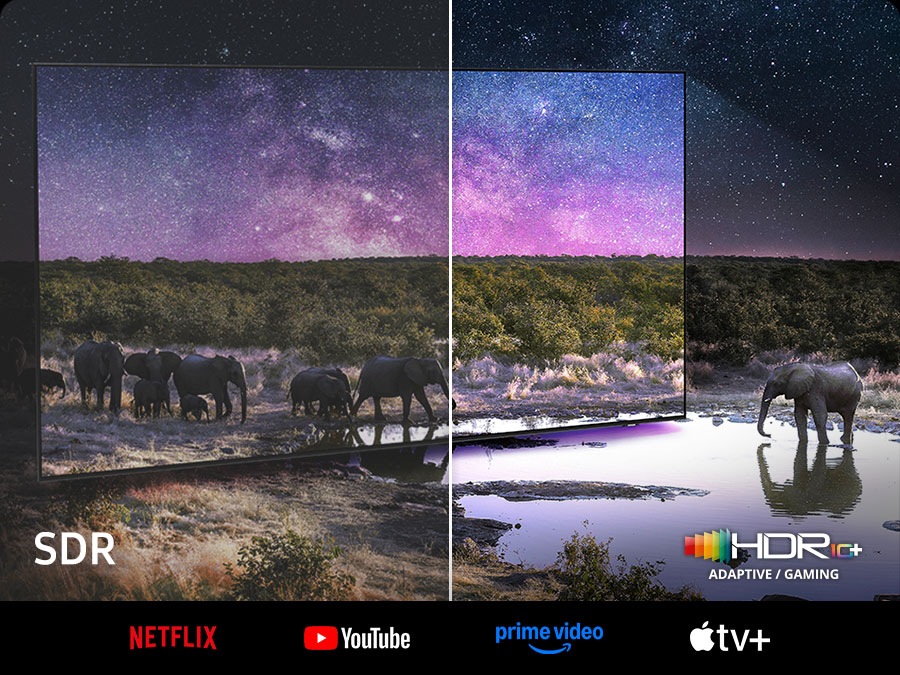 Elephants are walking around in a wide field. The scene after applying HDR 10+ ADAPTIVE/GAMING technology is much brighter and crisper than the SDR version.