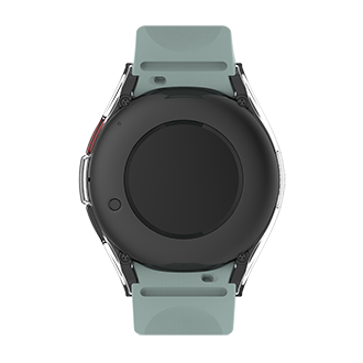 back Transparent