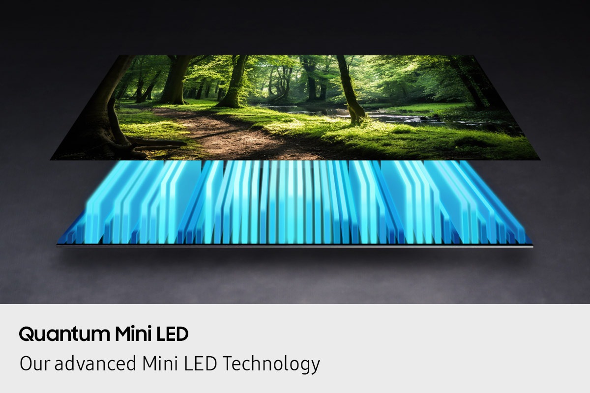 A TV backlight and screen are separated out, with the backlight illuminating the screen to depict a vivid scene of a forest.