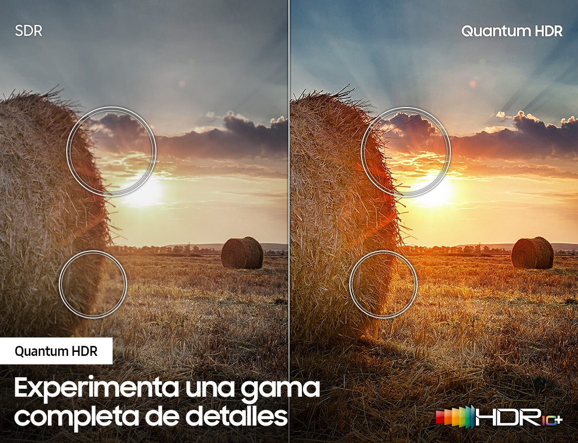 QN55Q60TAPXPA 