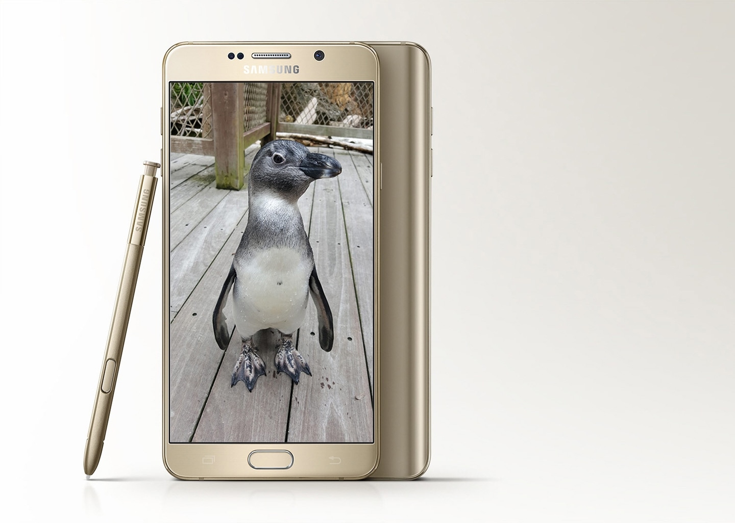 Two Samsung Note 5 with S Pen in Gold with a penguin on the screen, check out specs and price in the Philippines today