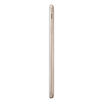 Whitegold GOLD