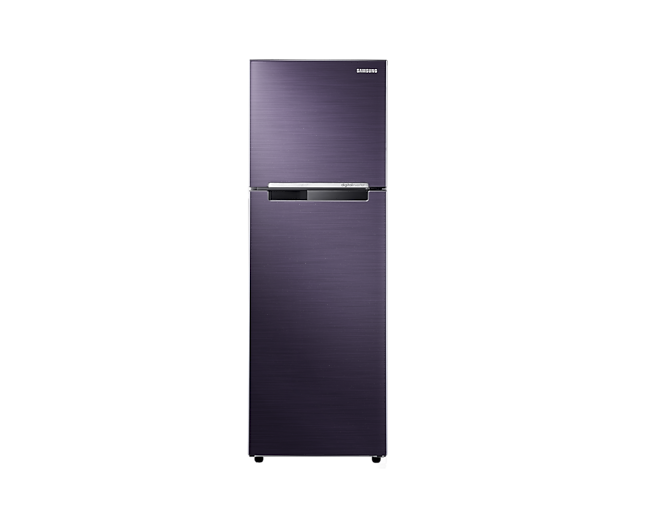 Samsung RT25FARBDUT Top Mount Freezer | Samsung Philippines