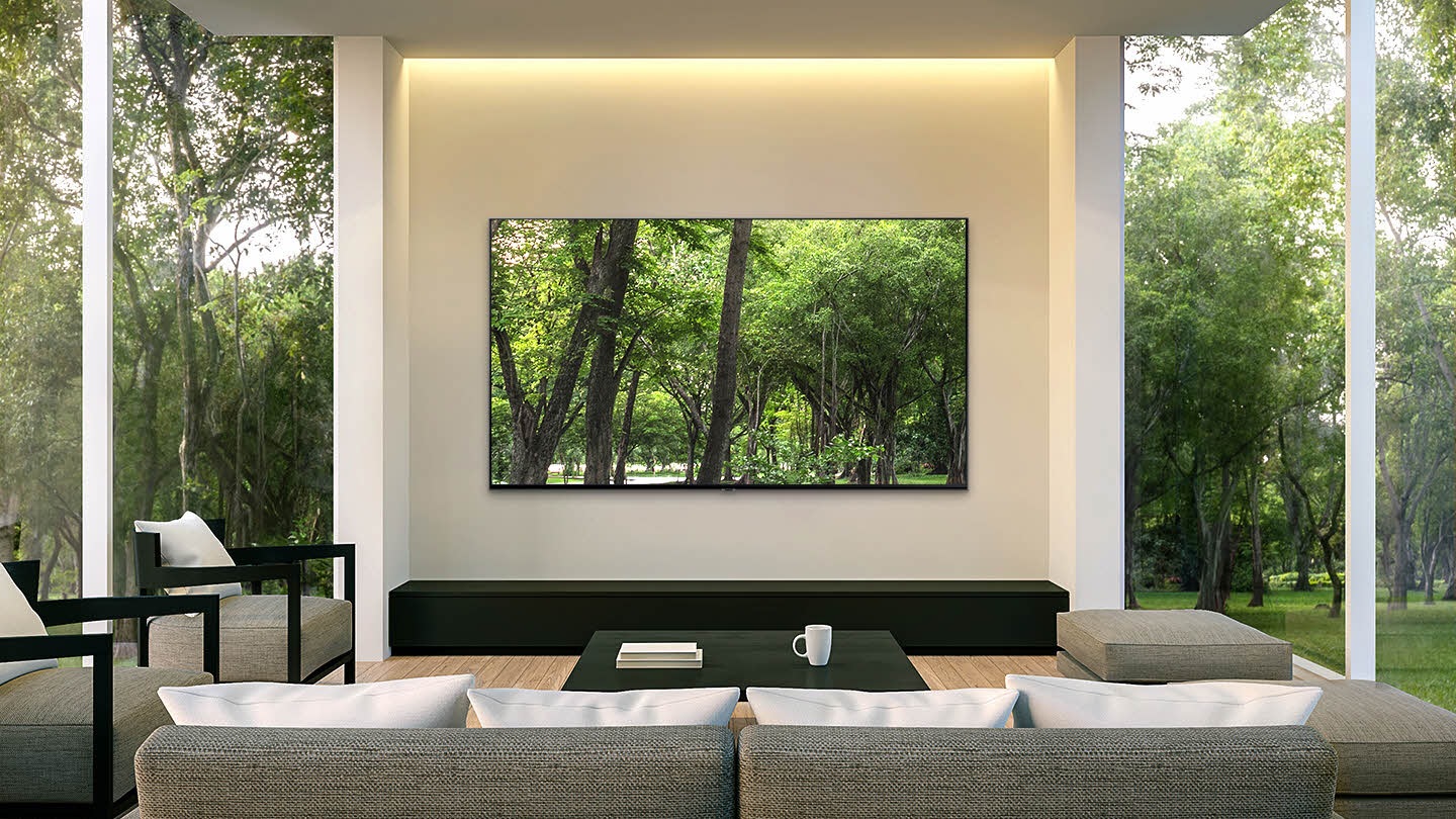 See the picture, not the TV