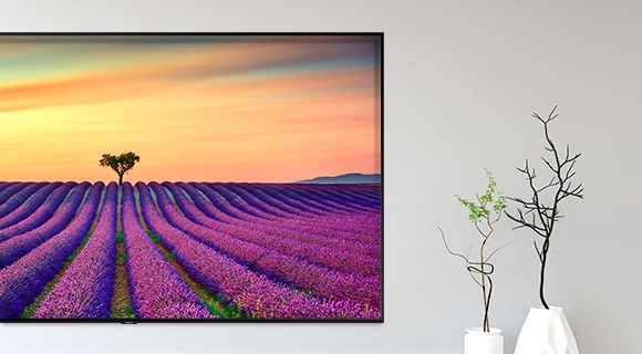 Tryb Ambient: Grafiki - telewizor Samsung Q90R QLED 4K