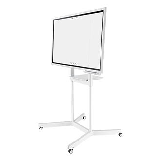 r-perspective-dynamic white