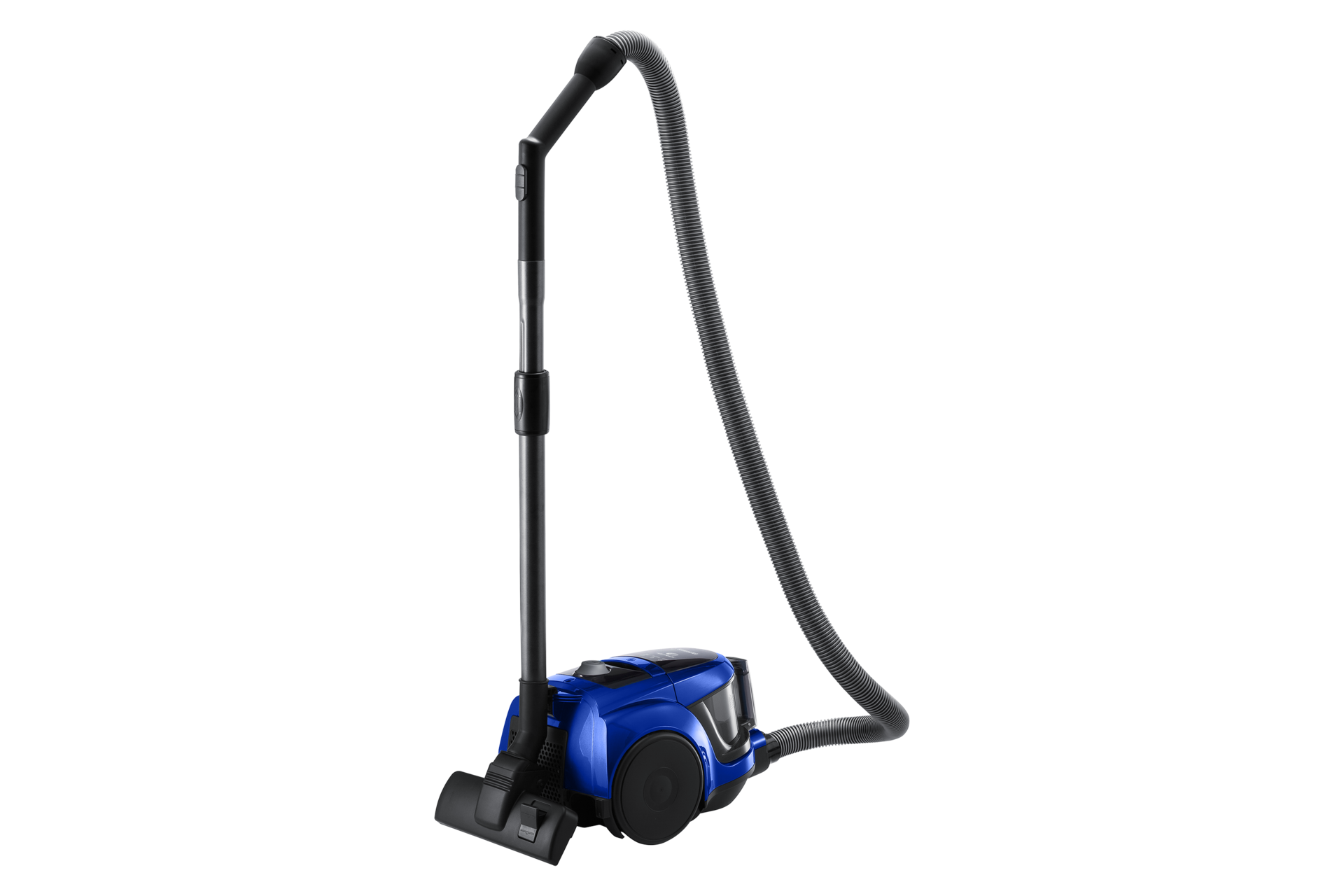 dynamic blue