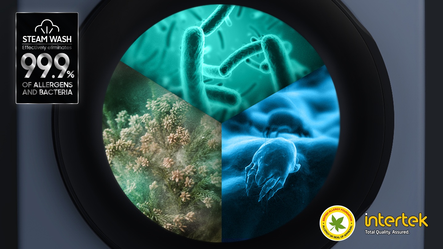 Igienizează-ți hainele cu aburi