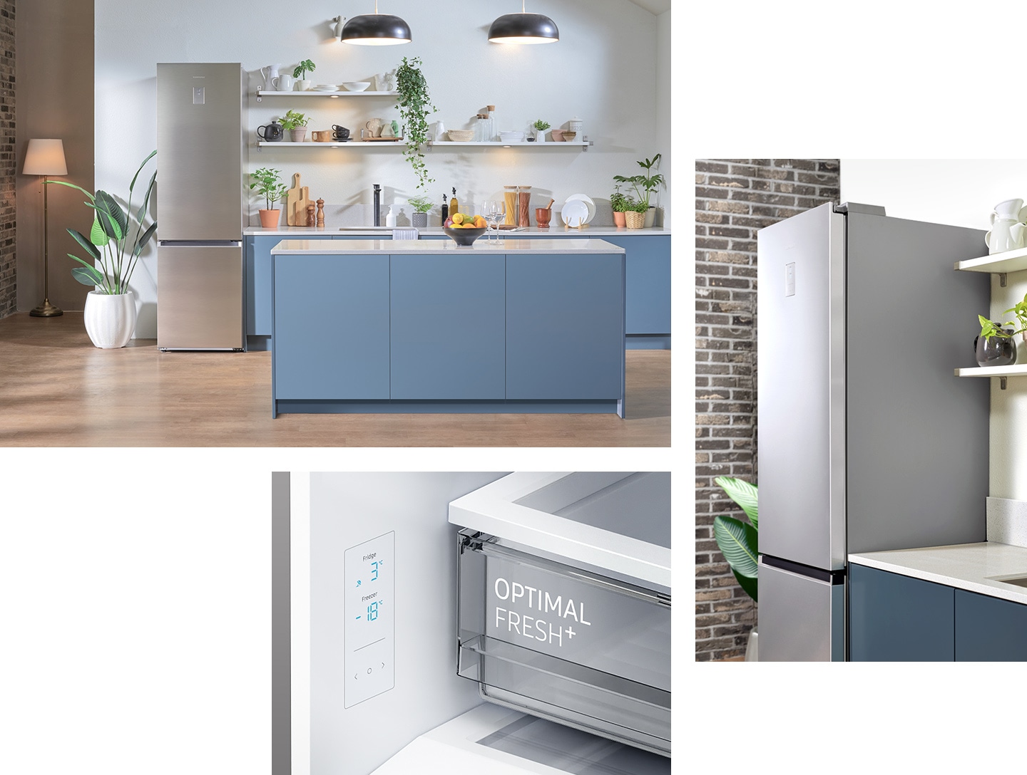 Design elegant si armonios