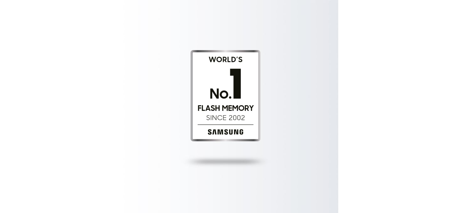 Memoria flash nr.1 în lume