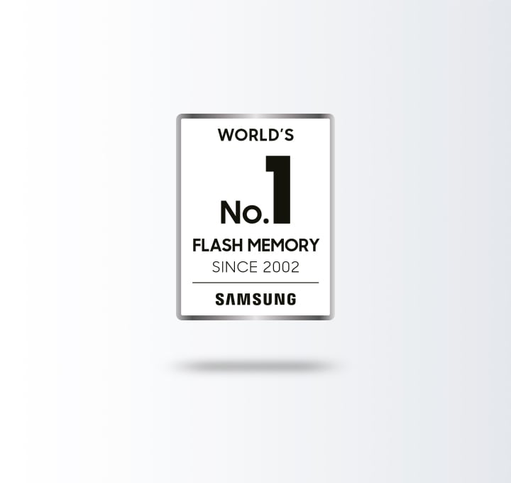 Memoria flash nr.1 în lume