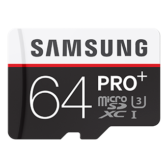 Вид Cпереди Серый