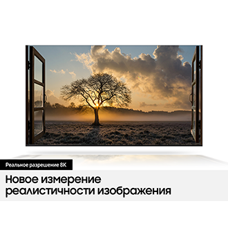 [QÉ82Q800T~ÁÚXR~Ú] 